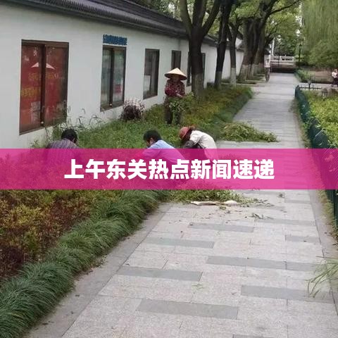 上午东关热点新闻速递
