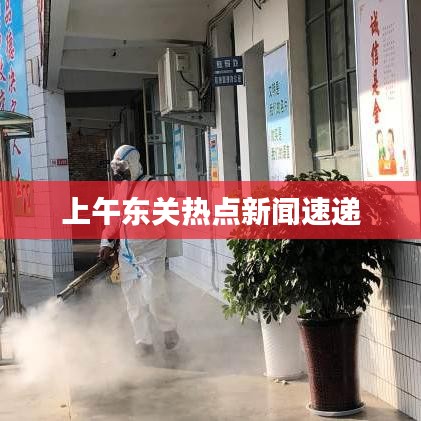 上午东关热点新闻速递