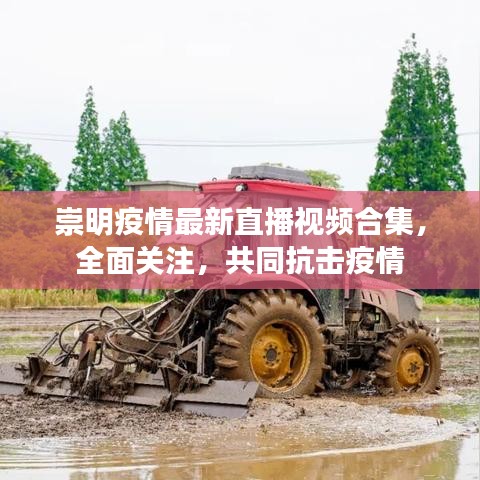 崇明疫情最新直播视频合集,全面关注,共同抗击疫情