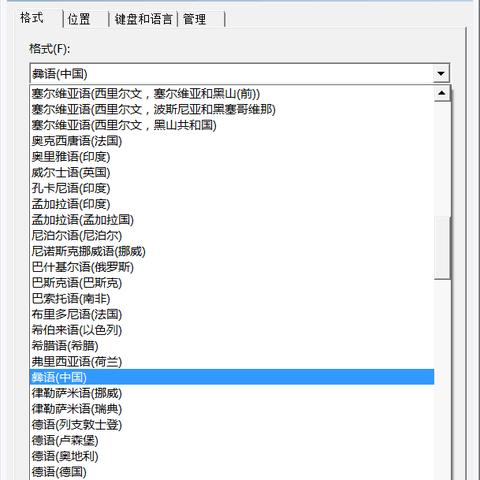 彝文输入法官方下载，专业级工具，专家观点特供版介绍_v6.885