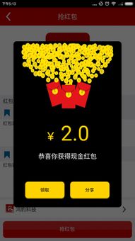 红包客官方下载，系统优化与管理的得力助手——动态说明解析VR_v3.769