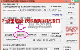 cms下载官方网站,动态词汇解析 优选版_v10.965