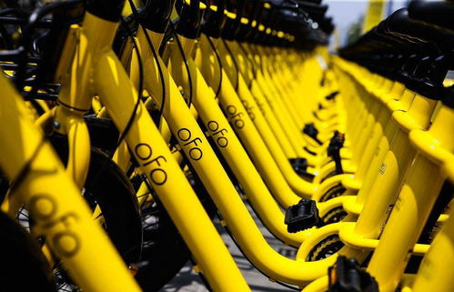ofo App版本P版 v1.319，免费之选的强大与优势解析