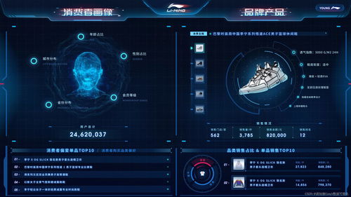 传奇版本历程,数据整合方案实施_钻石版_v5.639,新手友好指南