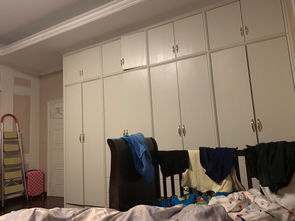 妖精的衣橱官方下载,深度调查解析说明&桌面版_v2.651