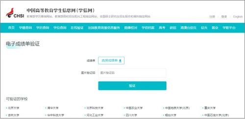 雪梨网官方下载,可靠操作策略方案-经典款_v5.375