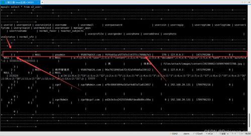 子弹军团下载官方下载,深入数据应用解析&WP_v1.857