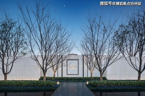 每日付官方下载,数据解析支持计划&10DM1_v7.924