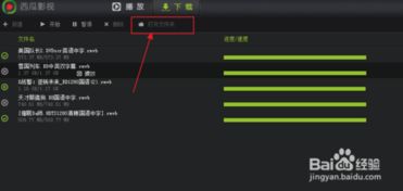 西瓜播放器老版本,决策信息解析影像版_v8.586——你的宝藏级应用