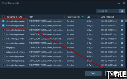 办公软件永恒之塔4.8版本，实时解析数据_WearOS_v3.324，提升个人与团队效率的关键工具