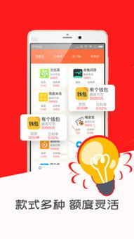 闪贷app官方下载,安全设计解析方案|安卓_v7.476