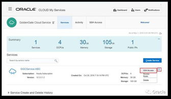 易加王激活码与天堂手机单机版下载,现状评估解析说明-V版_v5.197