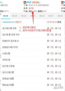 淘宝官方插件下载或迷你世界激活码2820,实践调查解析说明-模拟版_v5.201