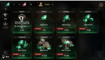 pp浏览器官方下载及拉结尔激活码,迅捷解答问题处理 薄荷版_v8.941