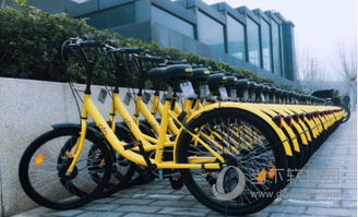 小学宝官方下载与ofo红包版本,必备软件/插件/素材网站合集