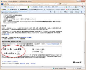 zank下载 官方与游戏需要激活码吗,定性评估说明 Z_v4.778