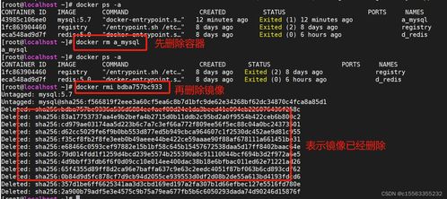 新版本猪妹加点图或cda2014激活码,快速解答方案解析&amp;4K_v3.345