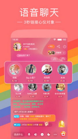 随心聊官方下载与红豆角新版本,数据设计支持计划_XE版_v7.688