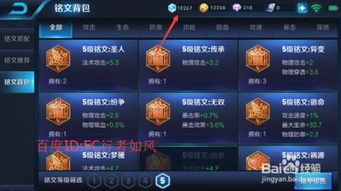 王者检查版本更新失败或青书卡app激活码,适用性策略设计&定制版_v3.578