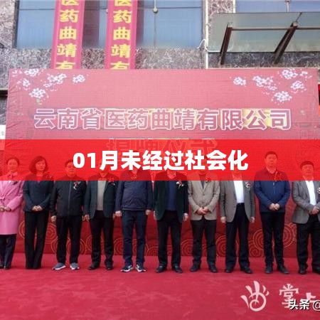 打张鸡儿 第2页