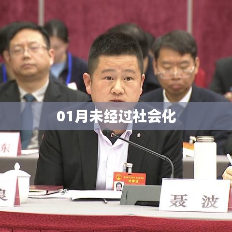 01月未社会化现象探讨
