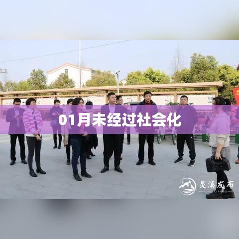 01月未社会化现象探讨