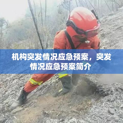 第671页