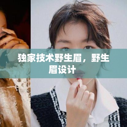 联系我们 第58页