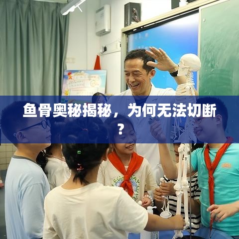 鱼骨奥秘揭秘，为何无法切断？