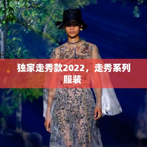 独家走秀款2022,走秀系列服装