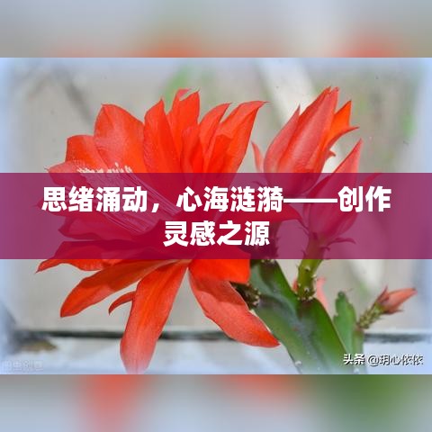 思绪涌动,心海涟漪——创作灵感之源