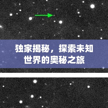 独家揭秘,探索未知世界的奥秘之旅