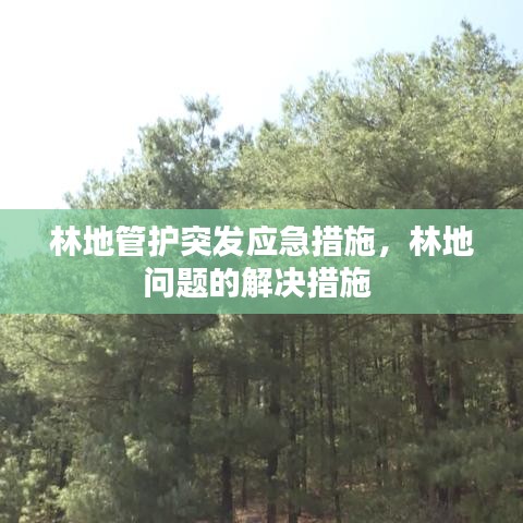 林地管护突发应急措施,林地问题的解决措施