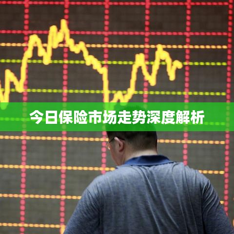 今日保险市场走势深度解析