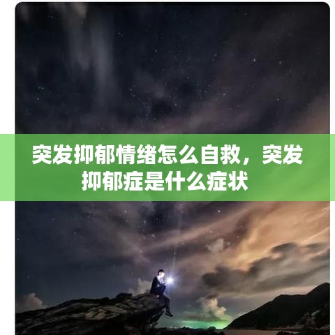 资质荣誉 第46页