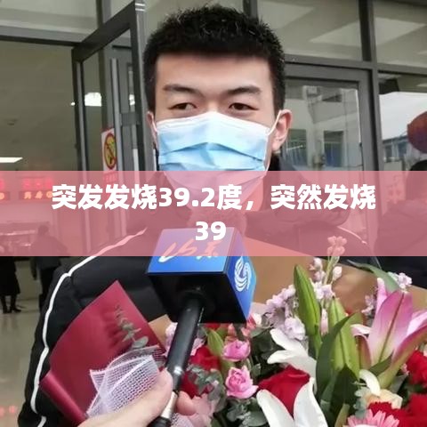 中式台球桌 第45页