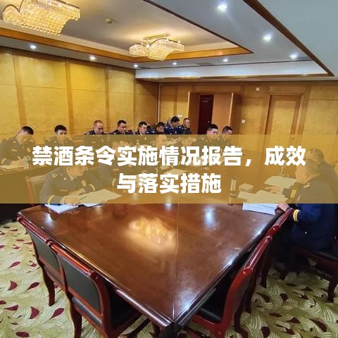 禁酒条令实施情况报告,成效与落实措施