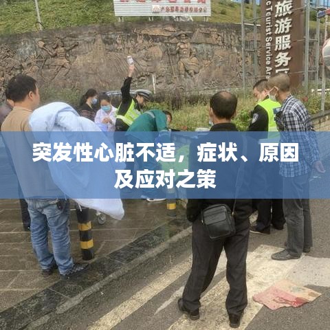 突发性心脏不适,症状、原因及应对之策