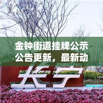 金钟街道挂牌公示公告更新,最新动态揭晓