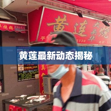 黄莲最新动态揭秘