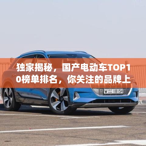 独家揭秘,国产电动车TOP10榜单排名,你关注的品牌上榜了吗?