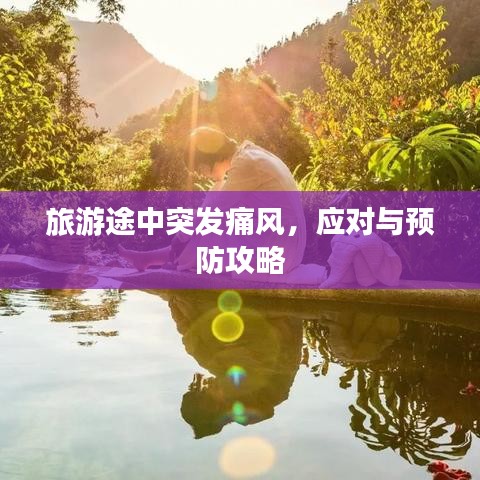 旅游途中突发痛风,应对与预防攻略