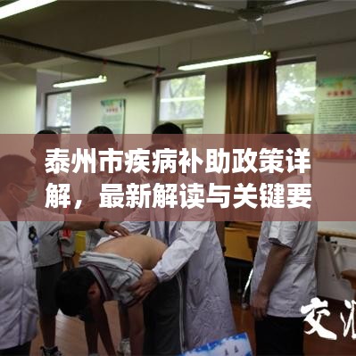 泰州市疾病补助政策详解,最新解读与关键要点