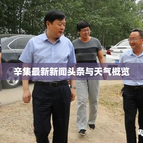 辛集最新新闻头条与天气概览