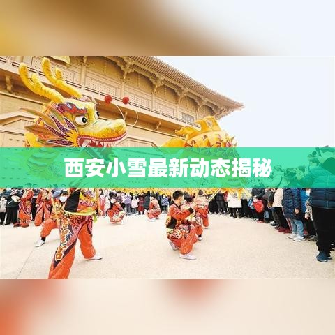 西安小雪最新动态揭秘