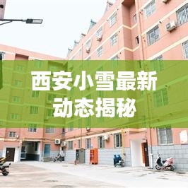 西安小雪最新动态揭秘