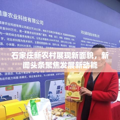 寥寥无几 第2页