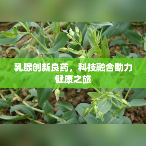 乳腺创新良药,科技融合助力健康之旅