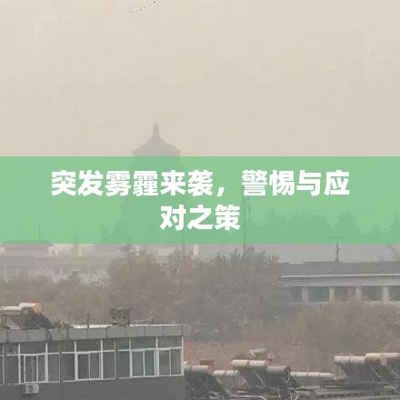 硕果仅存