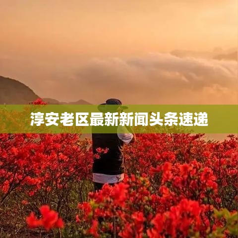 淳安老区最新新闻头条速递